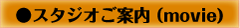 �X�^�W�I���ē�